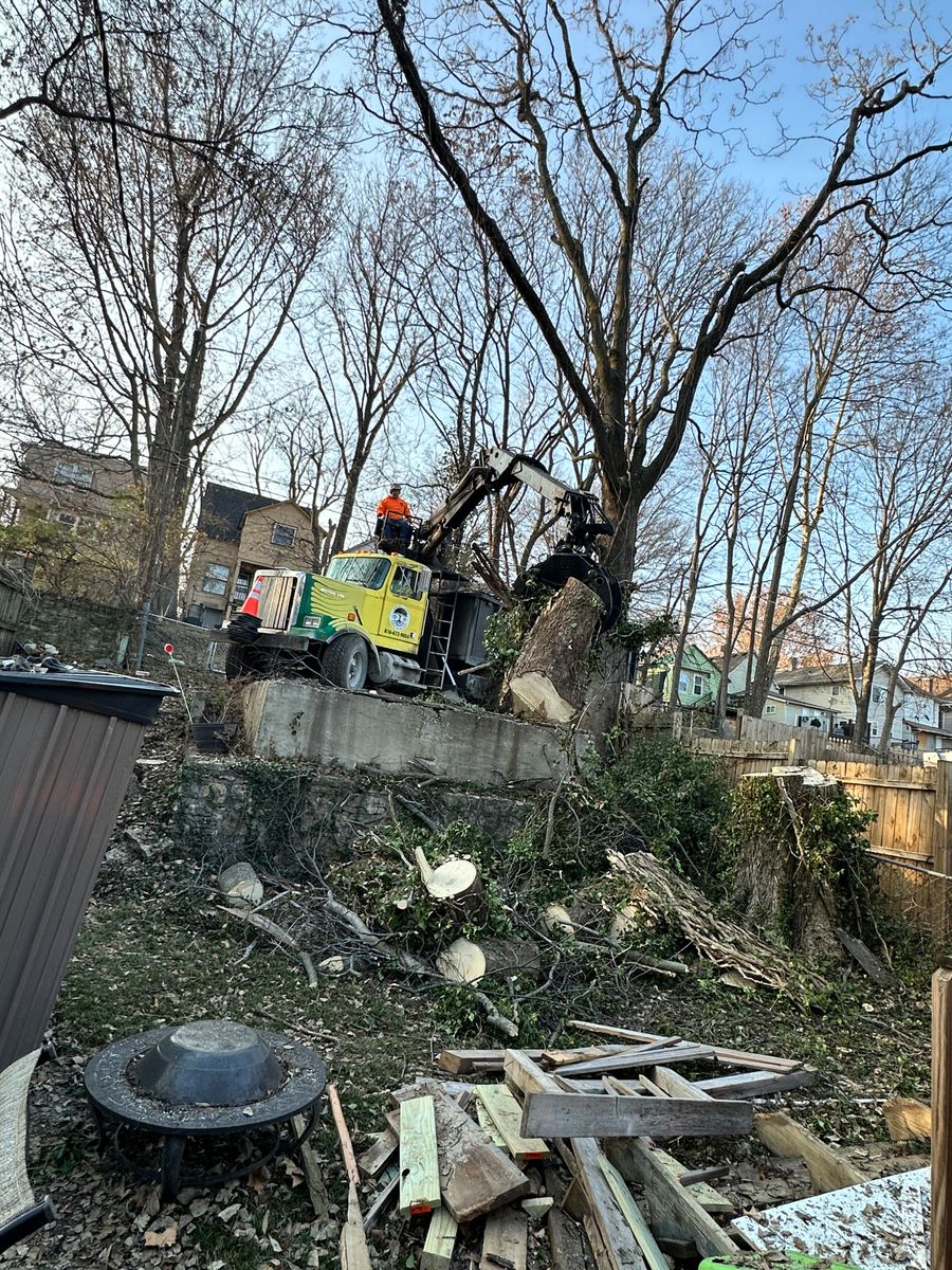 Land Clearing for Cross Family Tree Service in Kearney, MO