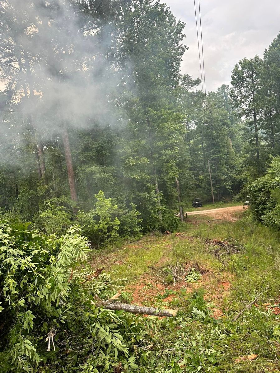 Tree Trimming & Removal for A.P Land Management in Atlanta, Ga