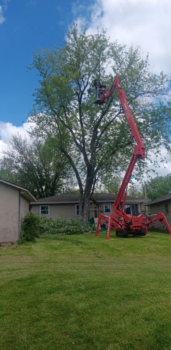 Tree Trimming for Lawn Ranger Yard And Tree Service LLC in Ottumwa, IA