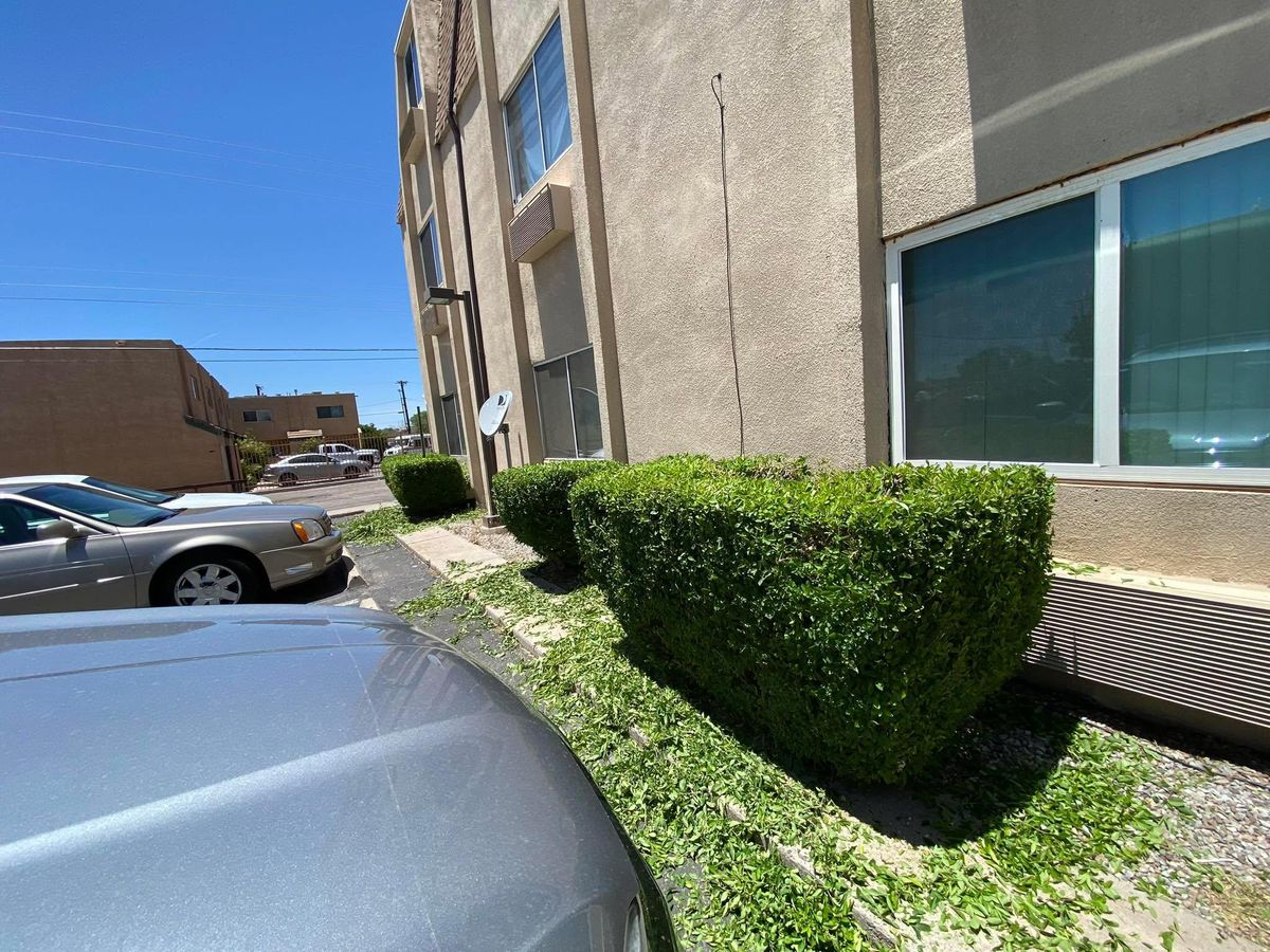 Shrub Trimming for Tree Service Miracles in Albuquerque, NM