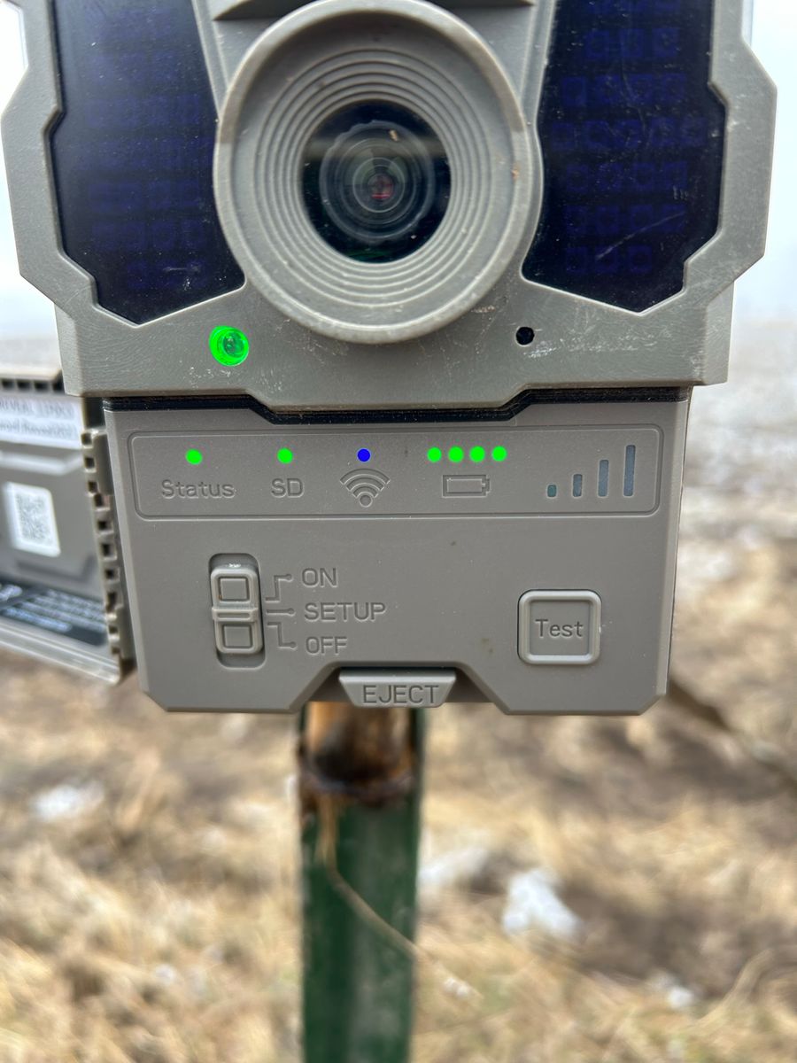 Trail Camera Upkeep for Two Young Bucks in Leon, IA