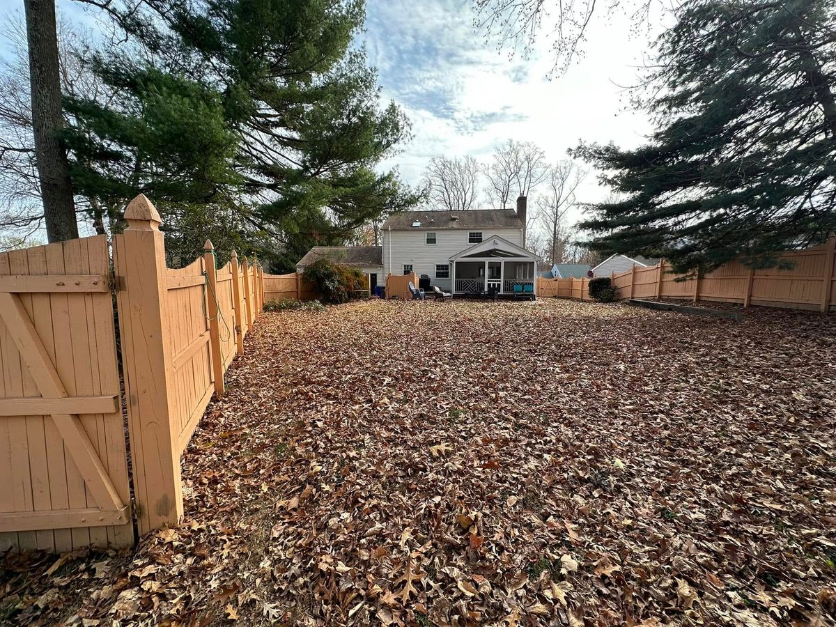 Fall Clean Up for A Better Lawn Service LLC in Bel Air, MD