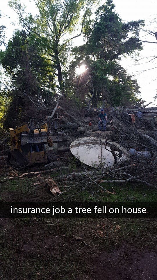 Debris Remova for Morace Tree Service in Natchez,,  MS