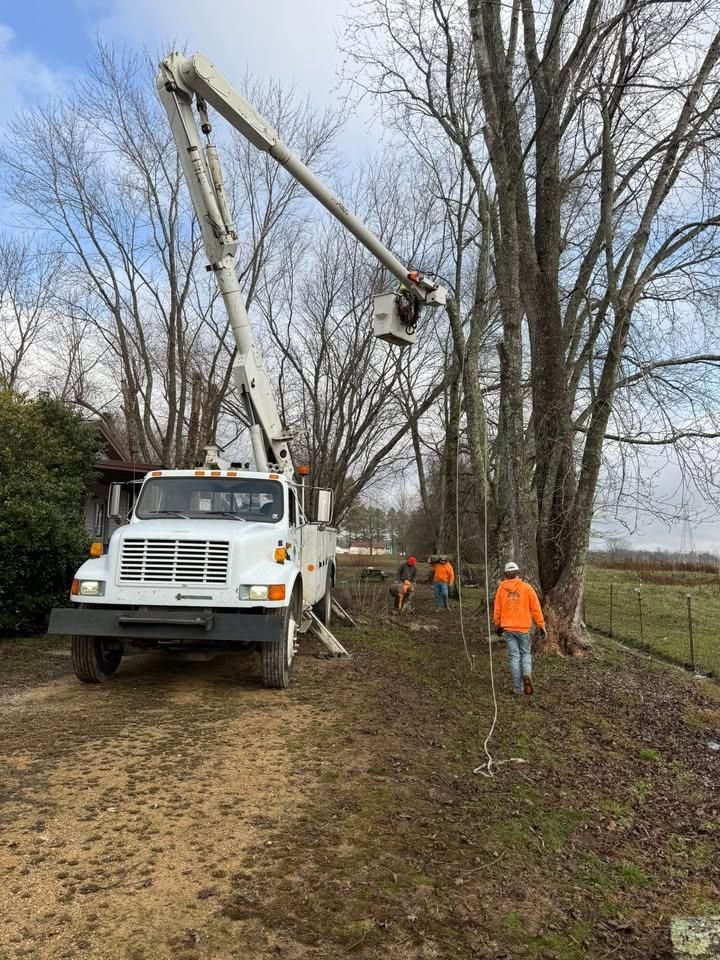 Tree Trimming for Ross Family Tree Service LLC  in Hohenwald, TN