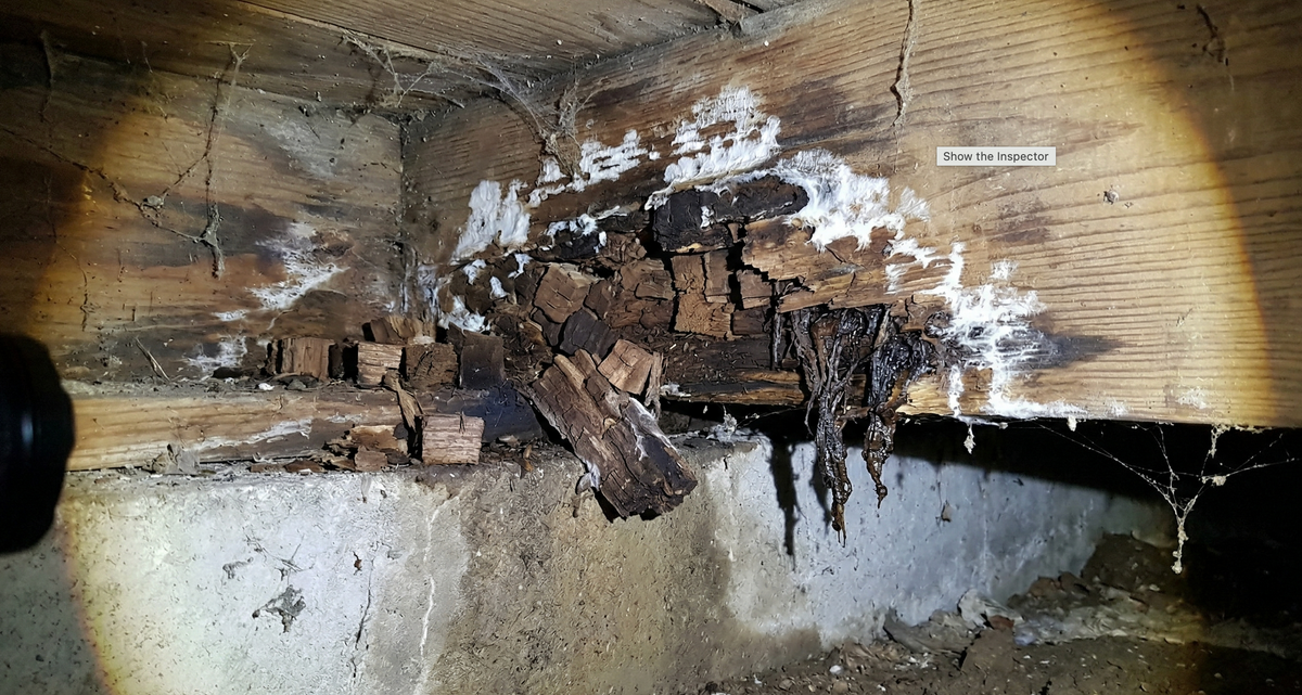 Woodrot Replacement for Matt's Total Home Repair And Maintenance LLC in Brunswick, GA