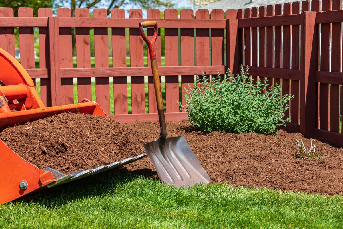Forestry Mulching for SWF Land Clearing Solutions in Fort Myers, FL