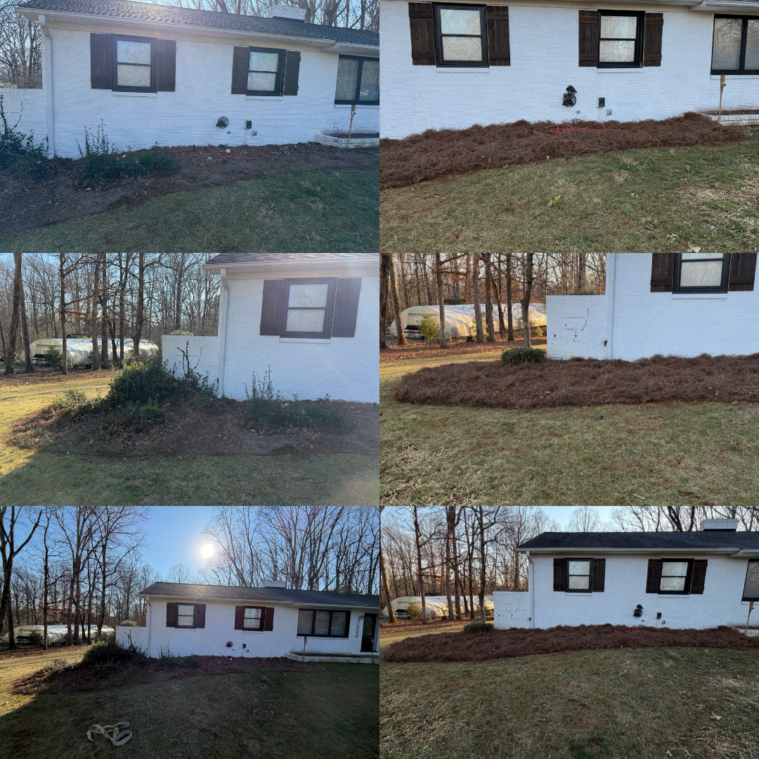 Mulching and pine needling for Holloway Yard Company in Greensboro, NC