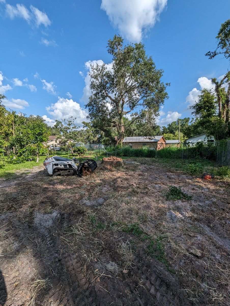 Land Clearing for Regal Tree Service and Stump Grinding in Wauchula, FL