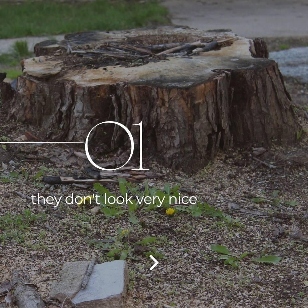 Tree Removal for Oakwood Tree Removal LLC in Oak Creek,  WI