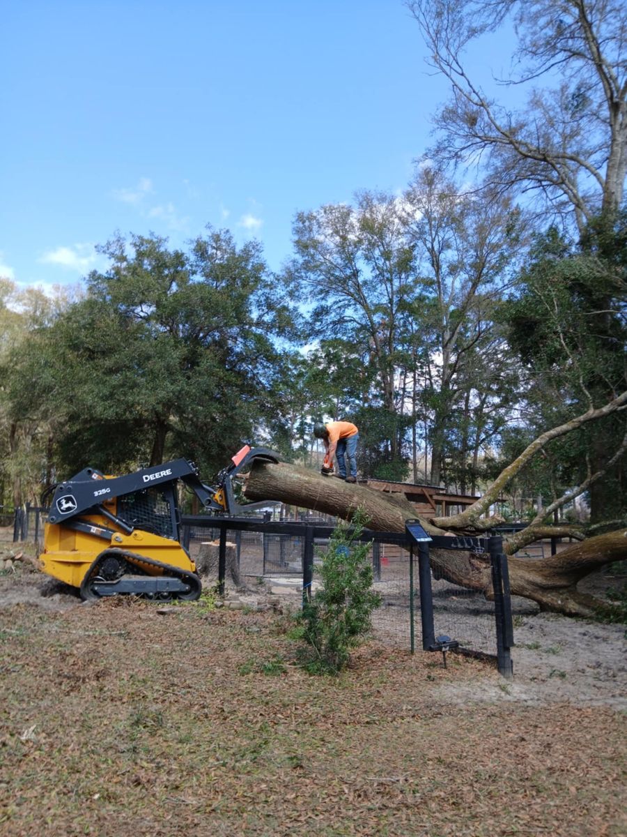 Emergency Storm Services for All Around Guys Tree Service in Ocala, FL