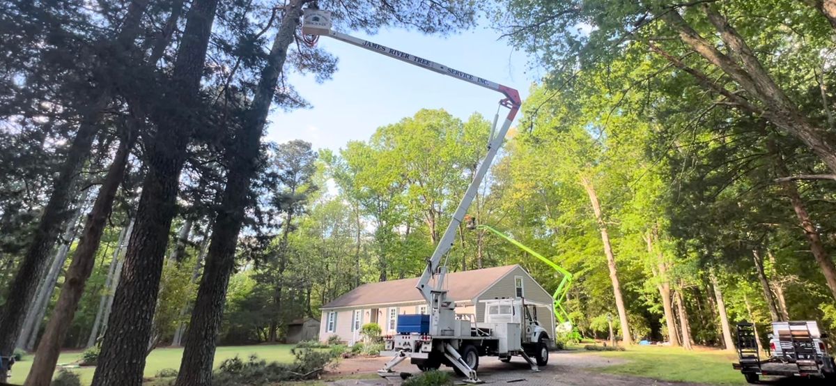 Tree Removal for James River Tree Service in Suffolk, VA