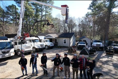 Tree Trimming for AB Tree Service in Wendell, NC