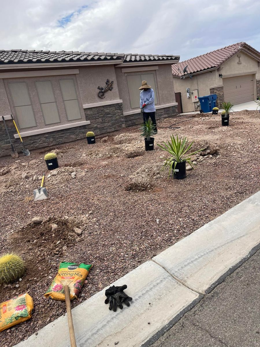 Turf Solutions for Yuma Palms & Tree Service in Yuma, AZ