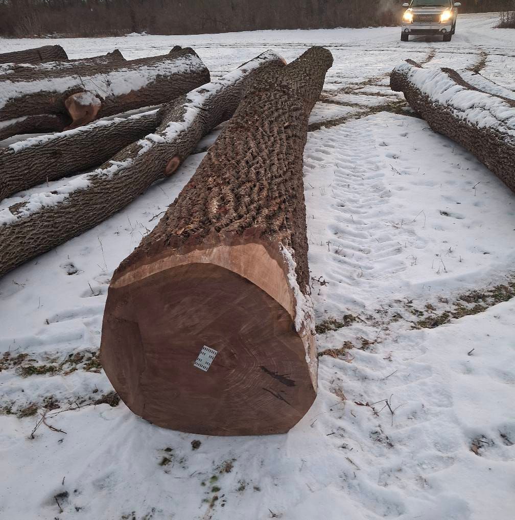 Timber Management for God's Country Timber Management in Hillsdale, MI