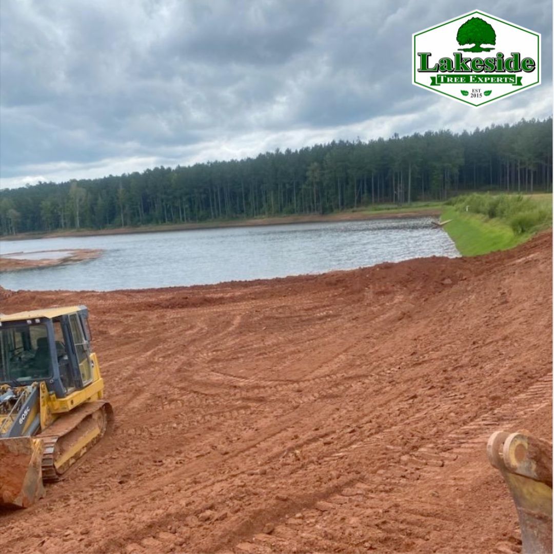 Land Clearing for Lakeside Tree Experts LLC in Hartwell, GA