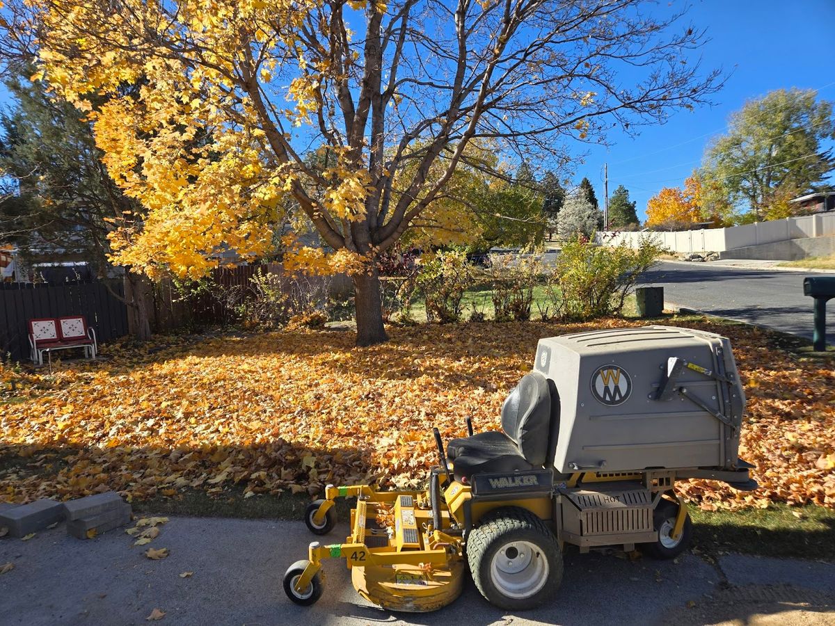 Fall Clean Up for Eagle Bay Lawn & Landscape LLC in Helena, MT