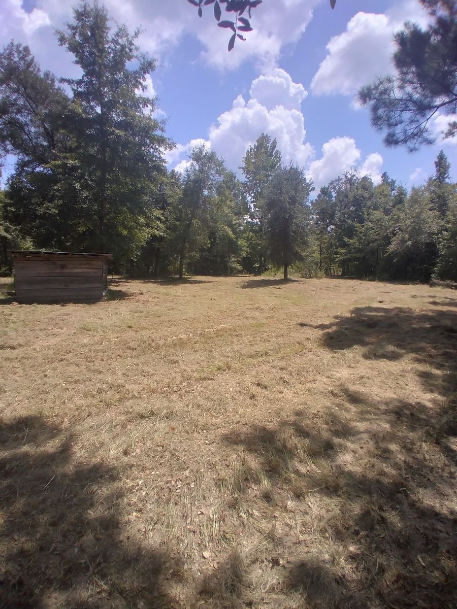 Seasonal Cleanup for Landrum’s Lawn & Tractor Services in Blountstown, FL