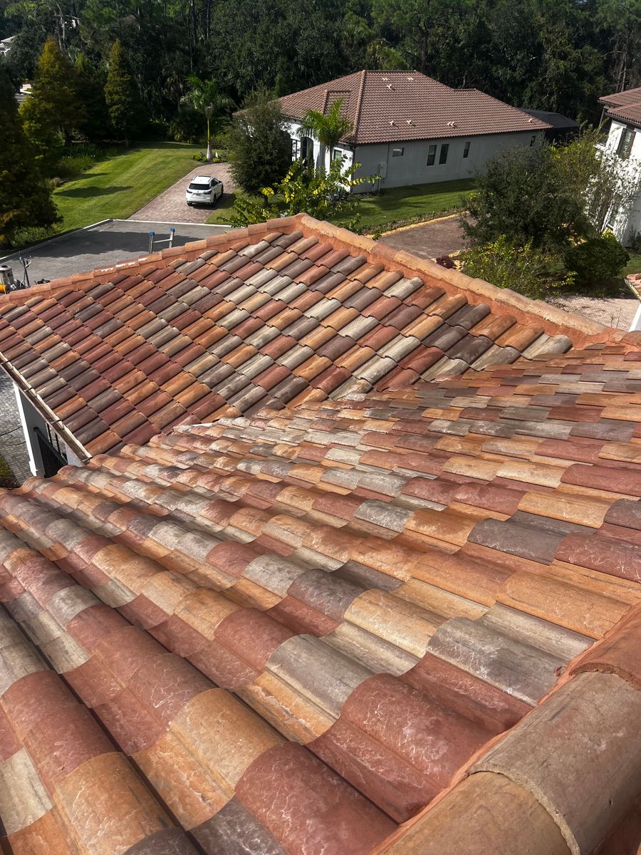 Roof Cleaning for Barr None Wash Pro in Tampa, FL