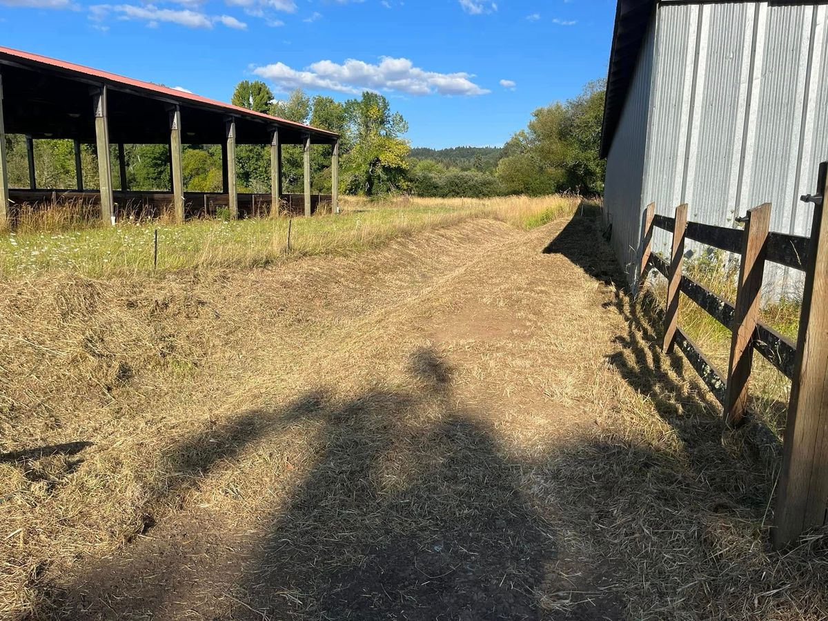 Landscaping for Ring Property Maintenance in Willamina, OR