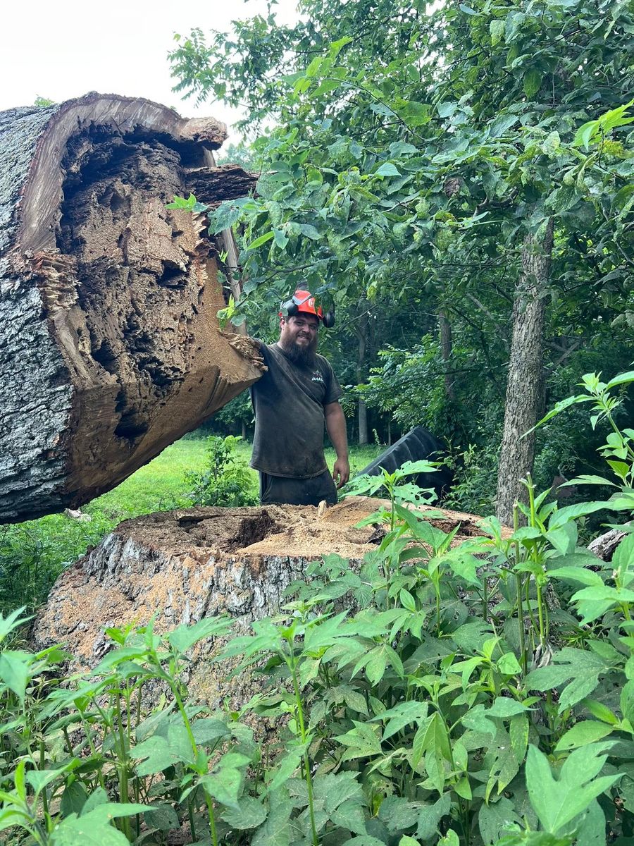 Tree Removal for Baker Professional Services LLC in Shelbina, MO