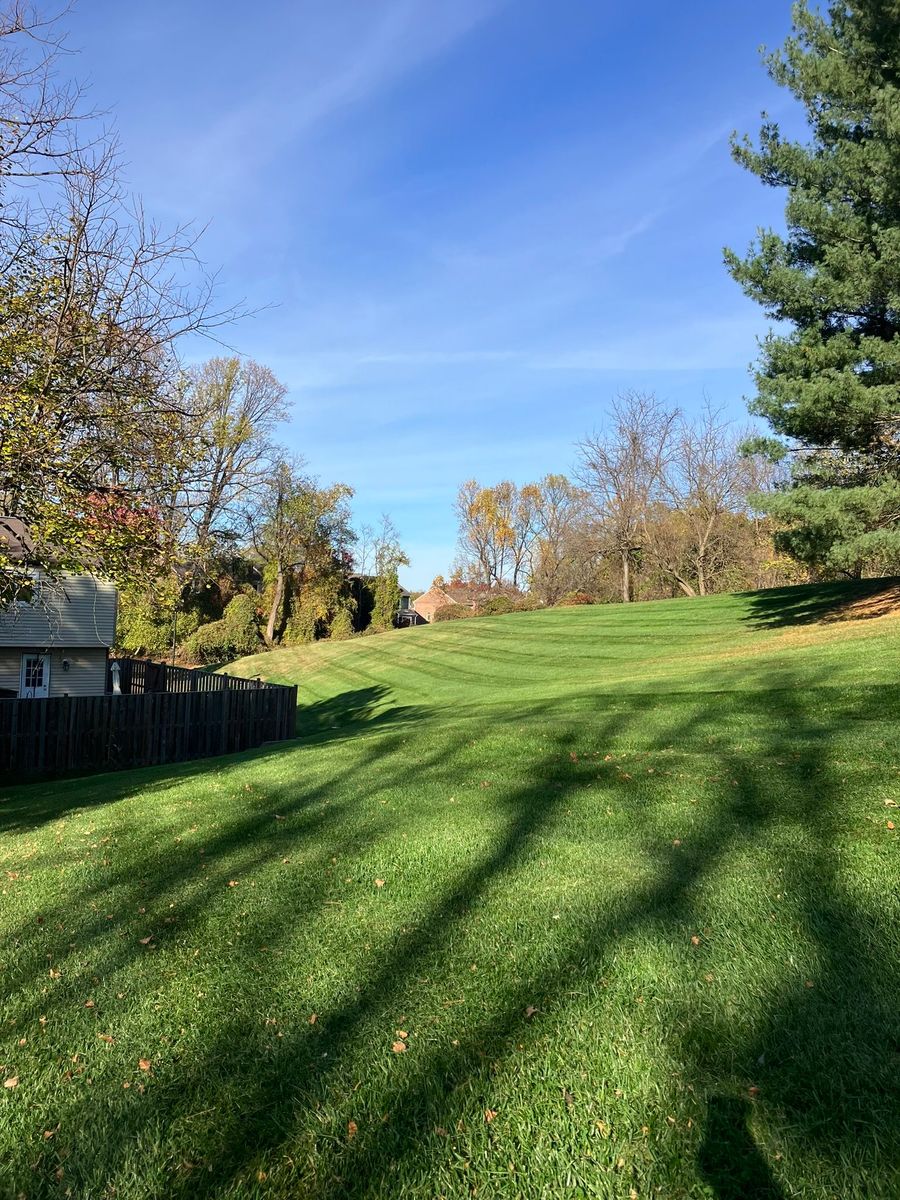 Sod for Pure Pavers Landscaping in Burlington, ON