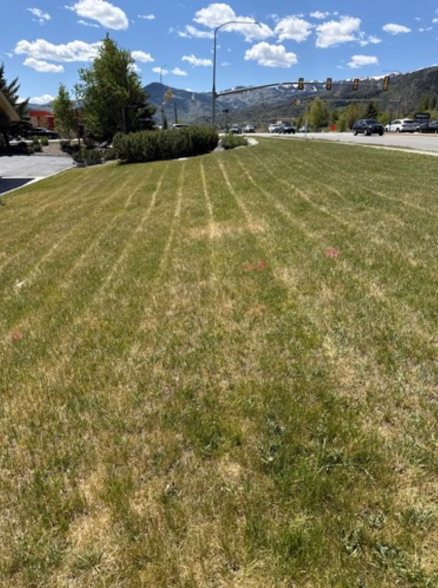 Mowing for Platinum Lawn Service in Santaquin, UT