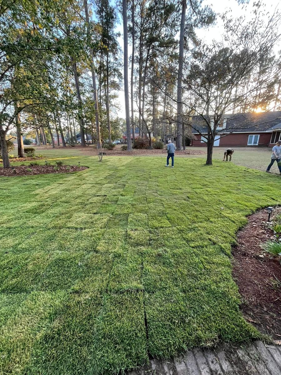 Sodding for South Ga. Land Development in Hazlehurst, GA