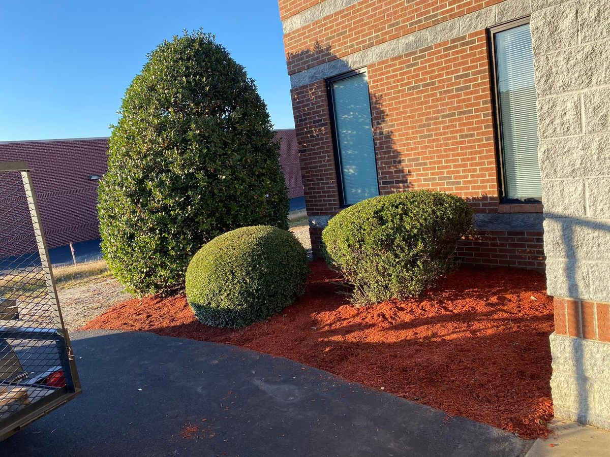 Shrub Trimming for Cutting Edge Lawn Care in Fayetteville, NC