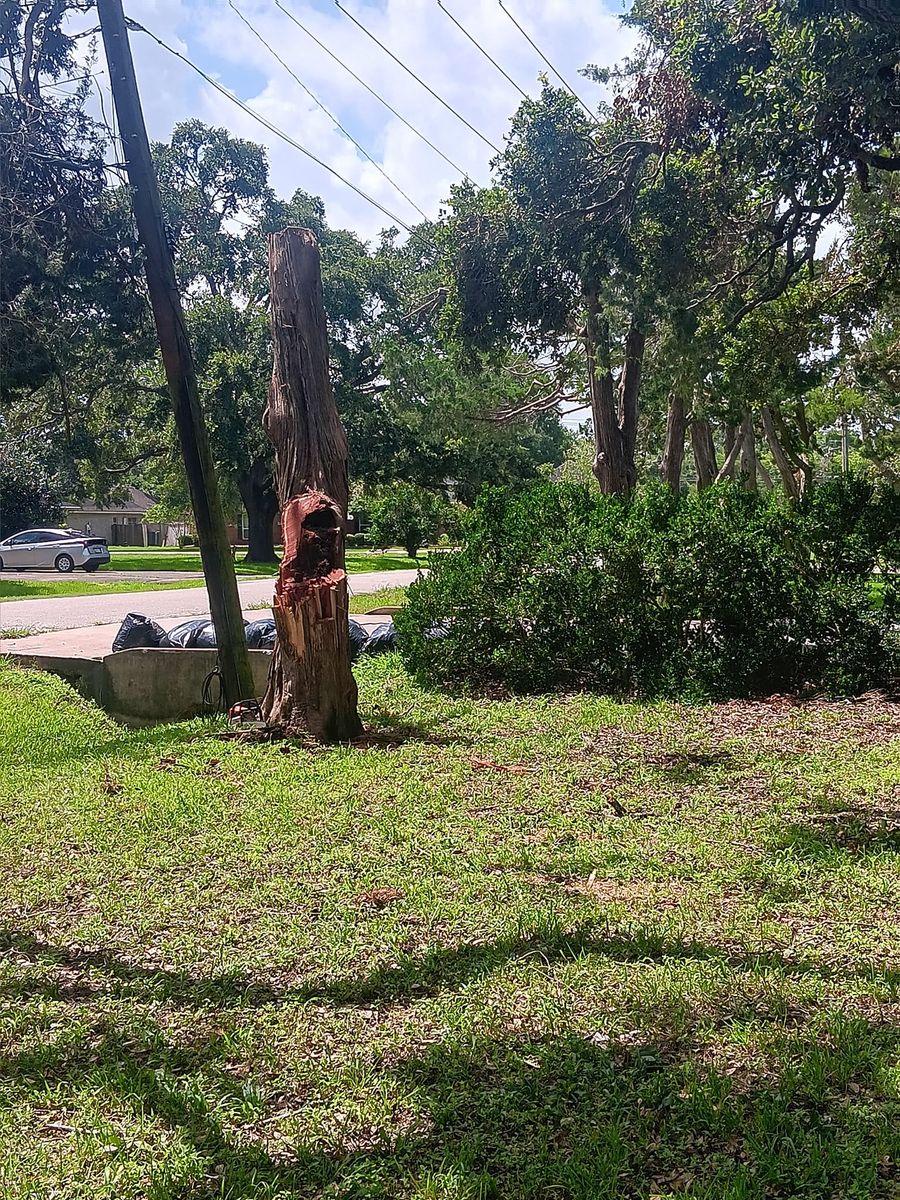Tree Trimming for G&S Tree Service in Houston, TX