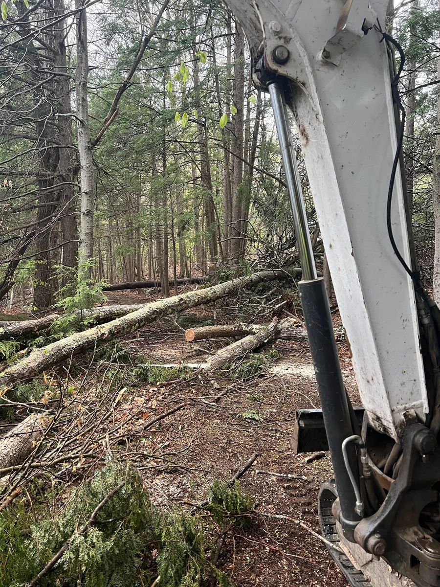 Tree Removal for Abair Tree Service in Weare, NH