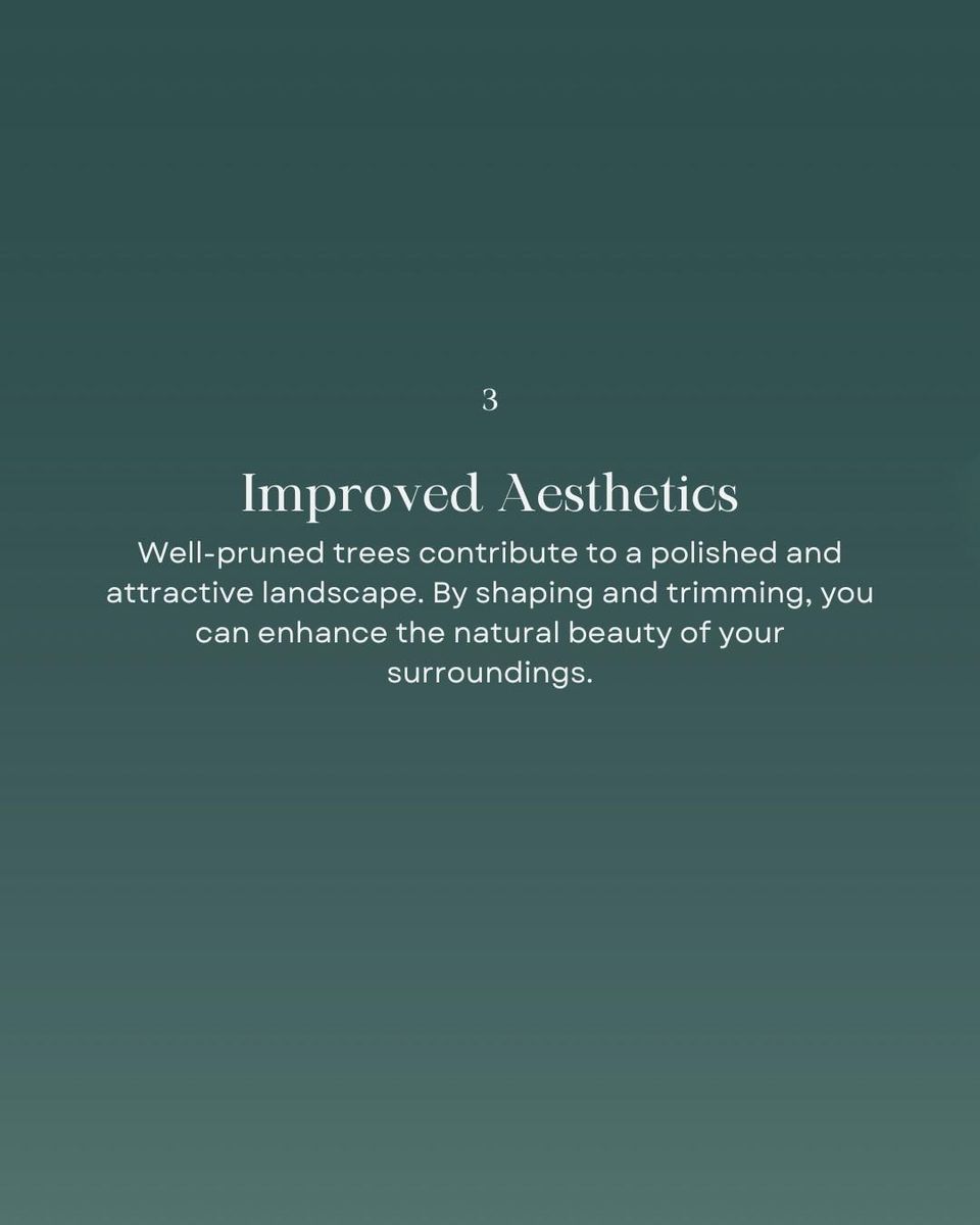 Tree Trimming for Oakwood Tree Removal LLC in Oak Creek,  WI