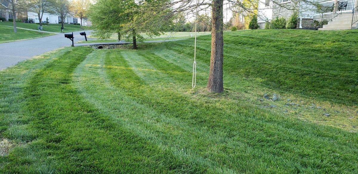 Landscape Design: Mulching for Sam I AM Property Solutions in Sunderland, MD