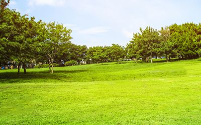 Mowing for Trim Seasonal Services in Milwaukee, WI