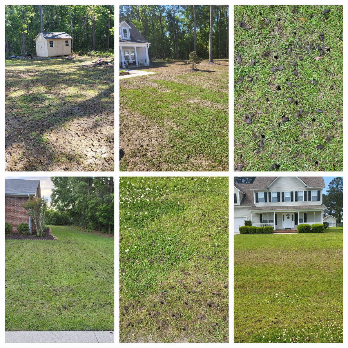 Aeration/Plugging/Thatching for Heroy's Lawn Services in Jacksonville, North Carolina