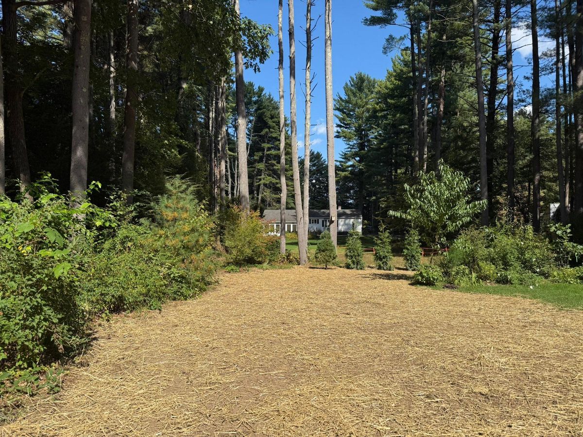 Land Clearing & Yard Expansion for Lennon Land Management in Suffield, CT