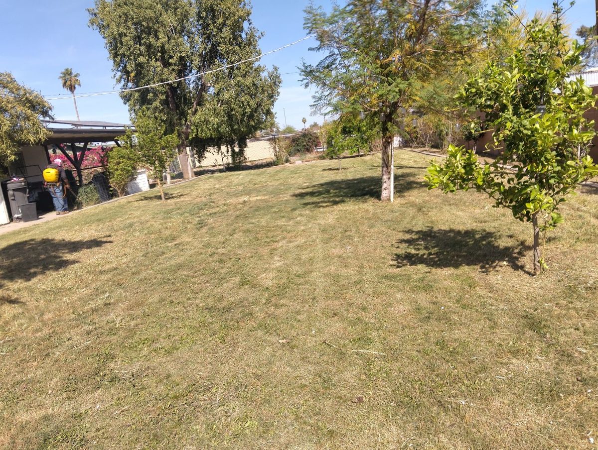 Mowing for Family Landscaping in Phoenix, AZ