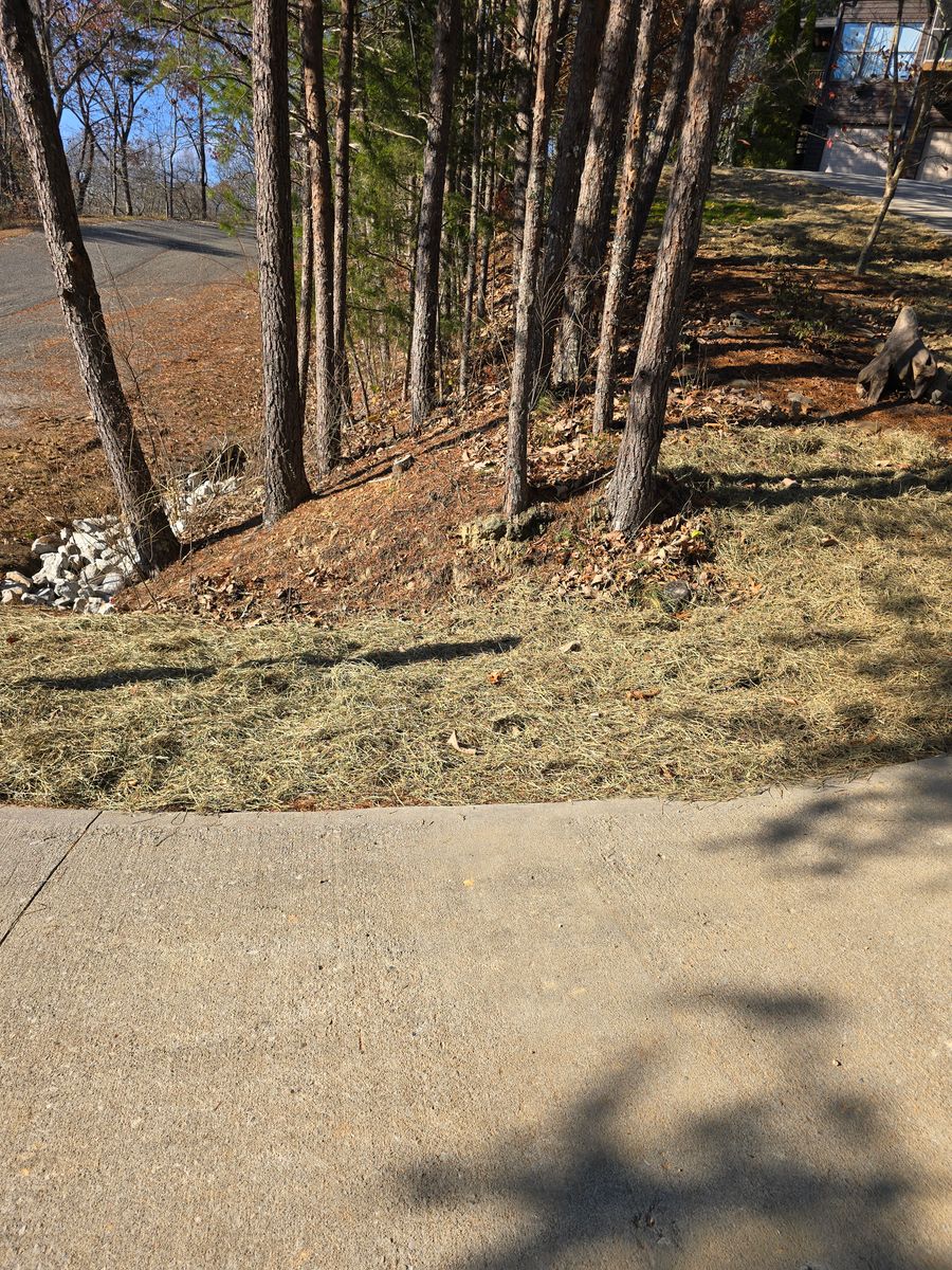 Aireation and Overseeding/fertilization for Williams Lawn and Land in Sharps Chapel, TN