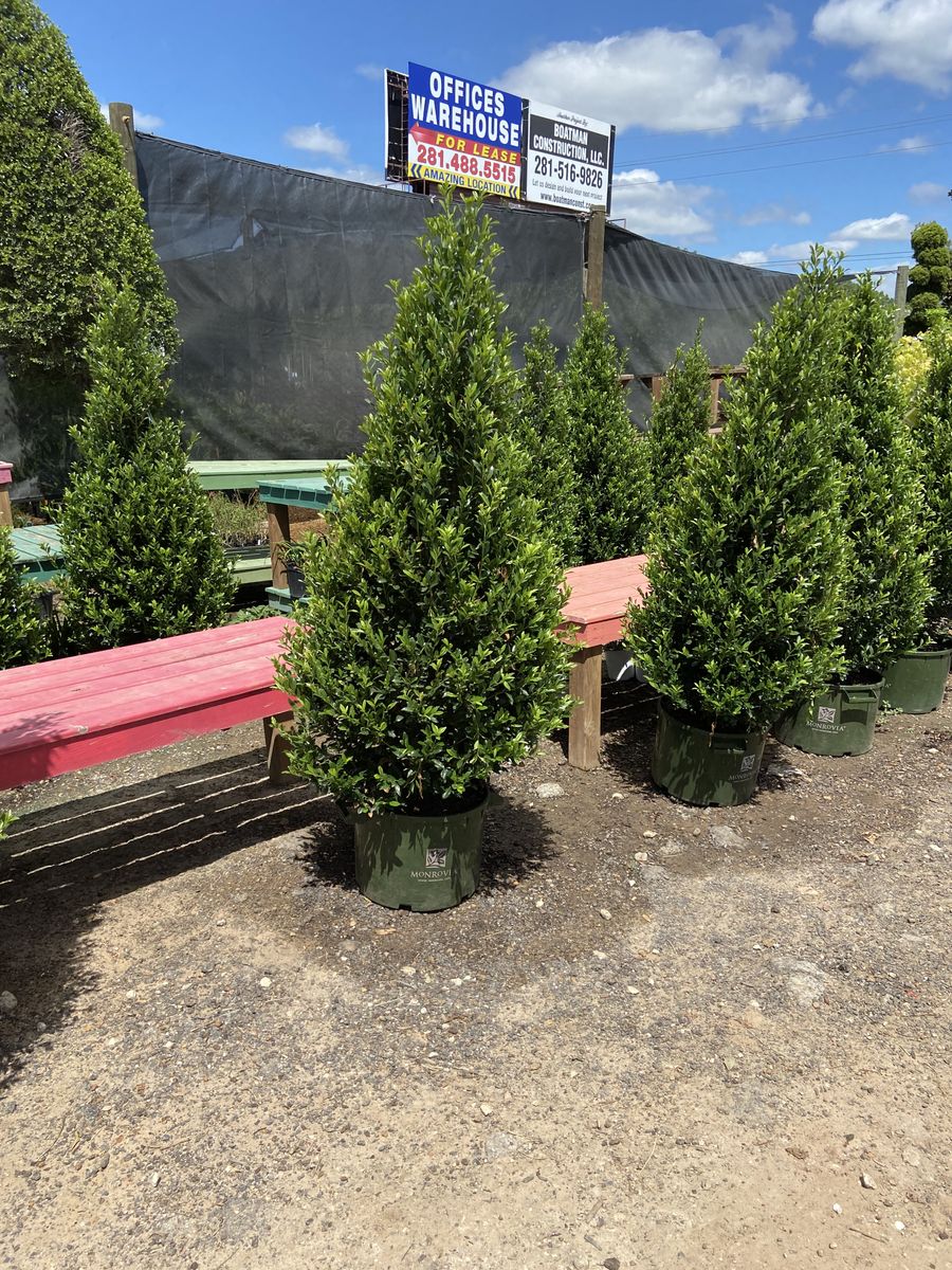Landscape Installation for Atlas Land Design in Creekside Park, TX