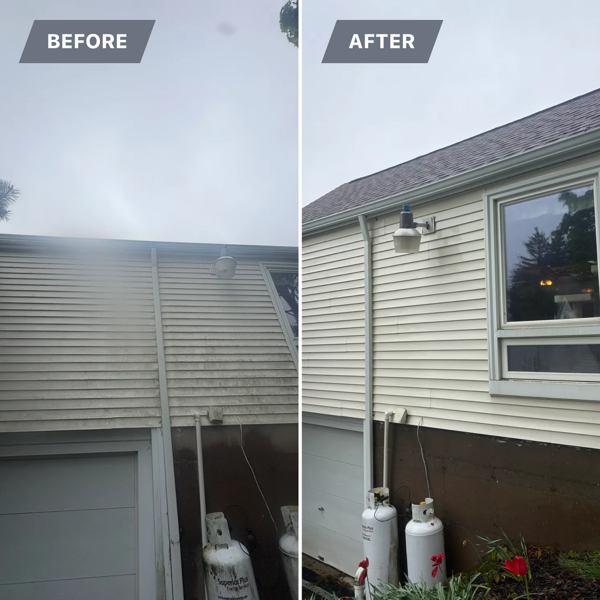 Moss Removal for Apex Windows in Brockport, NY