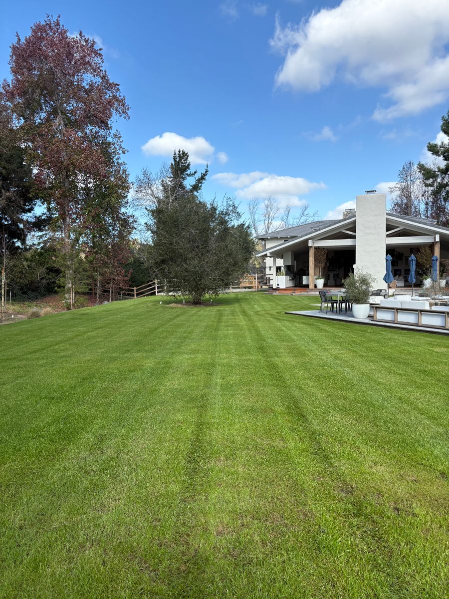 Lawn Maintenance for Herreras Land Service in San Diego, CA