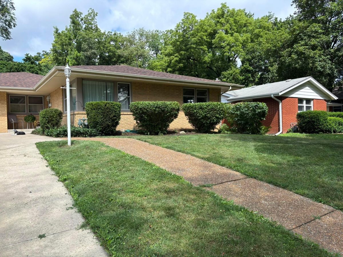 Shrub Trimming for Cena Landscaping in Rockford, IL