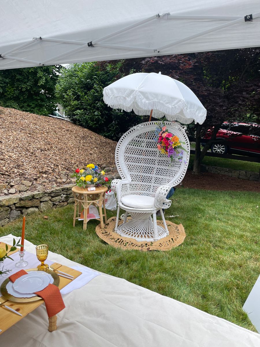 PREMIUM PICNIC PACKAGE for Pink Tree Picnic in Hartford, CT