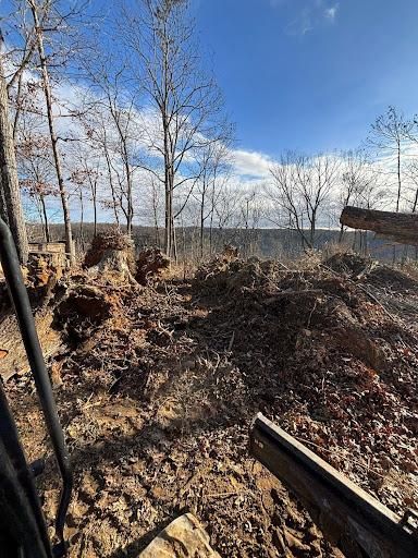 Forestry Mulching for TD Dirtworks in Tracy City, TN