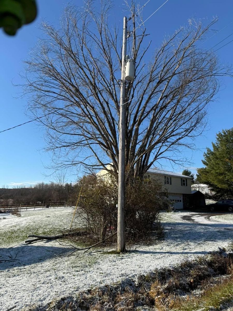Storm Cleanup for Sterlings Tree Removal in Cobleskill, New York