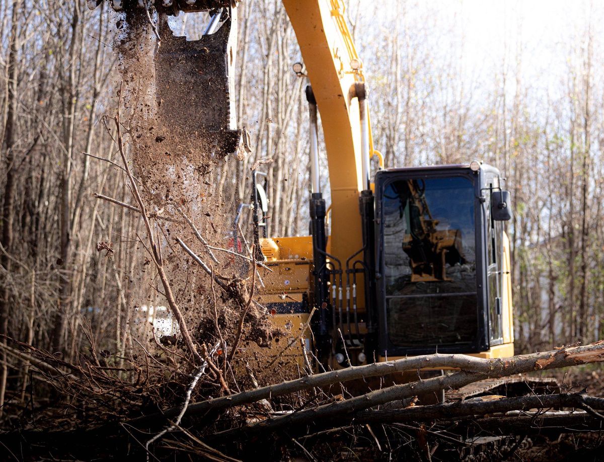 Land Clearing for Collins Constructors in Fyffe, AL