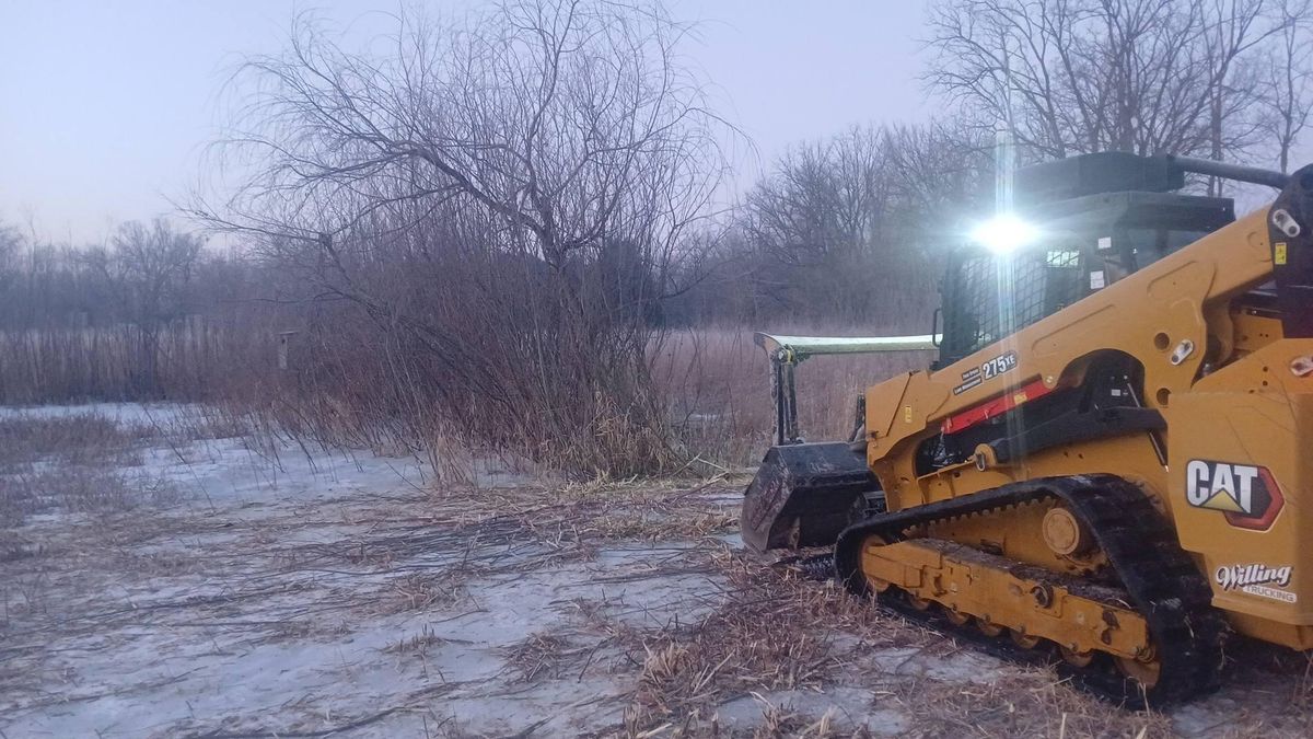Land Clearing for Willing Trucking & Excavating in Evansville, WI