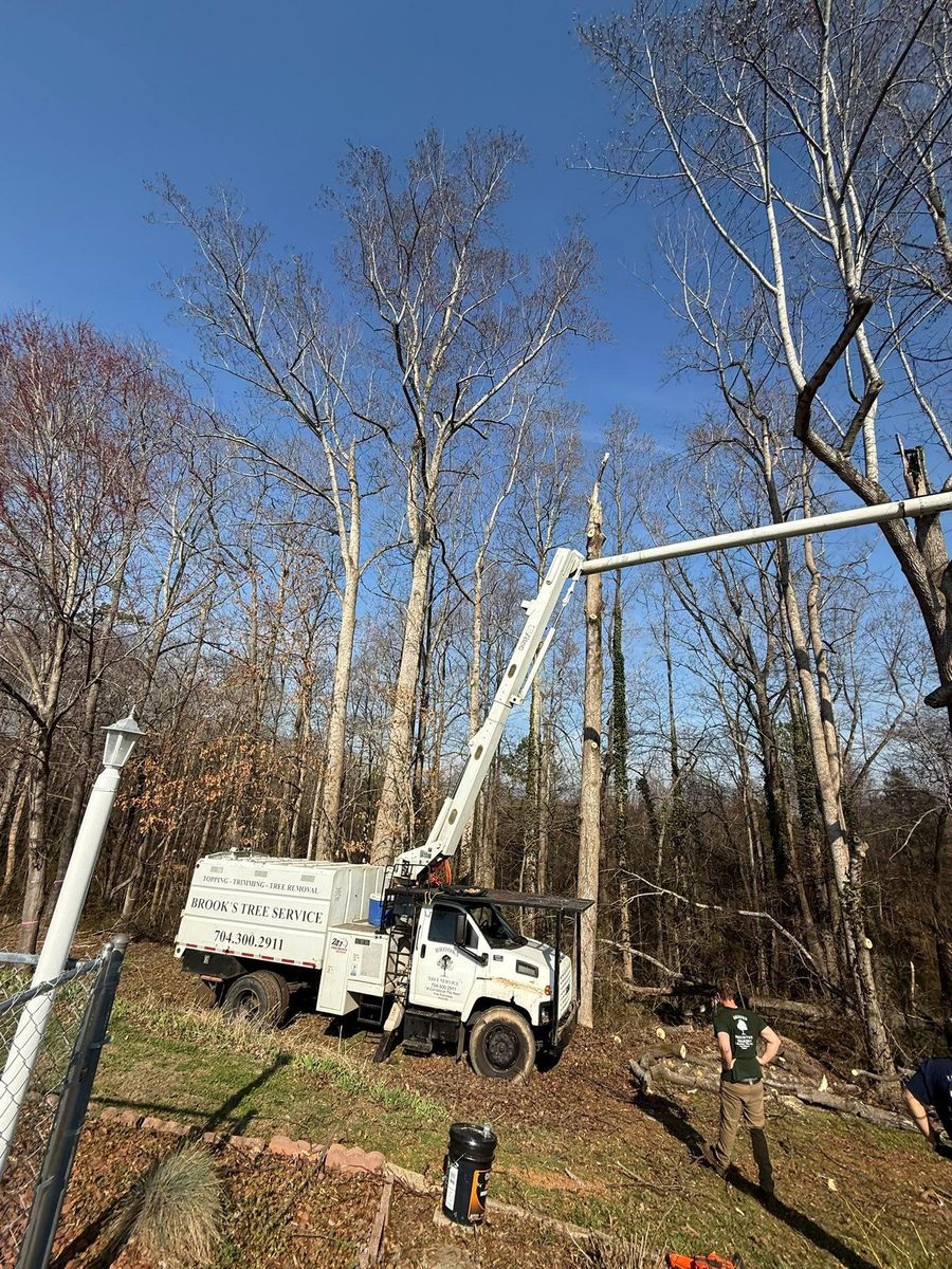 Fall Clean Up for Brooks Tree Service in Casar, NC