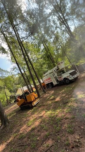 Stump Grinding for Dozier Stump Grinding in Augusta, GA