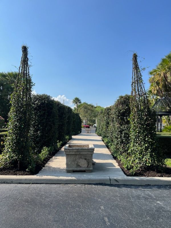 Vines Installating for Rey Landscaping & Lawn service LLC in West Palm Beach,  FL