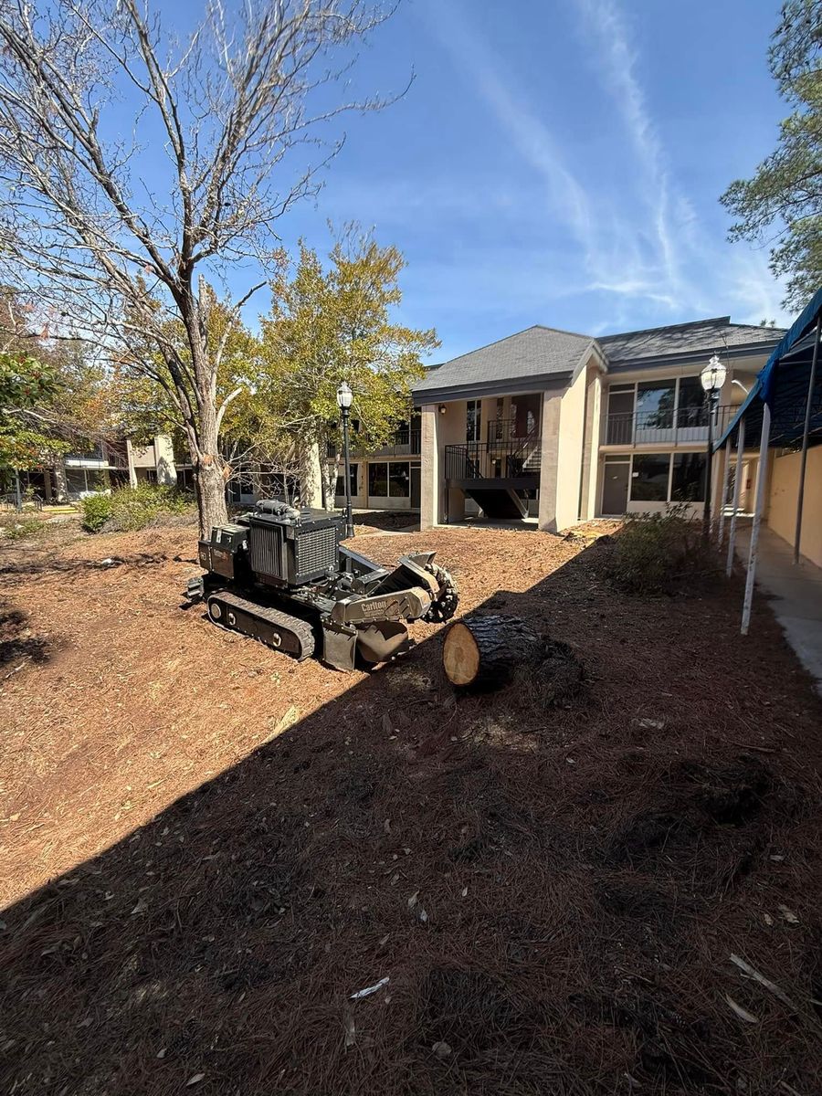 Stump Excavation for Dozier Stump Grinding in Augusta, GA